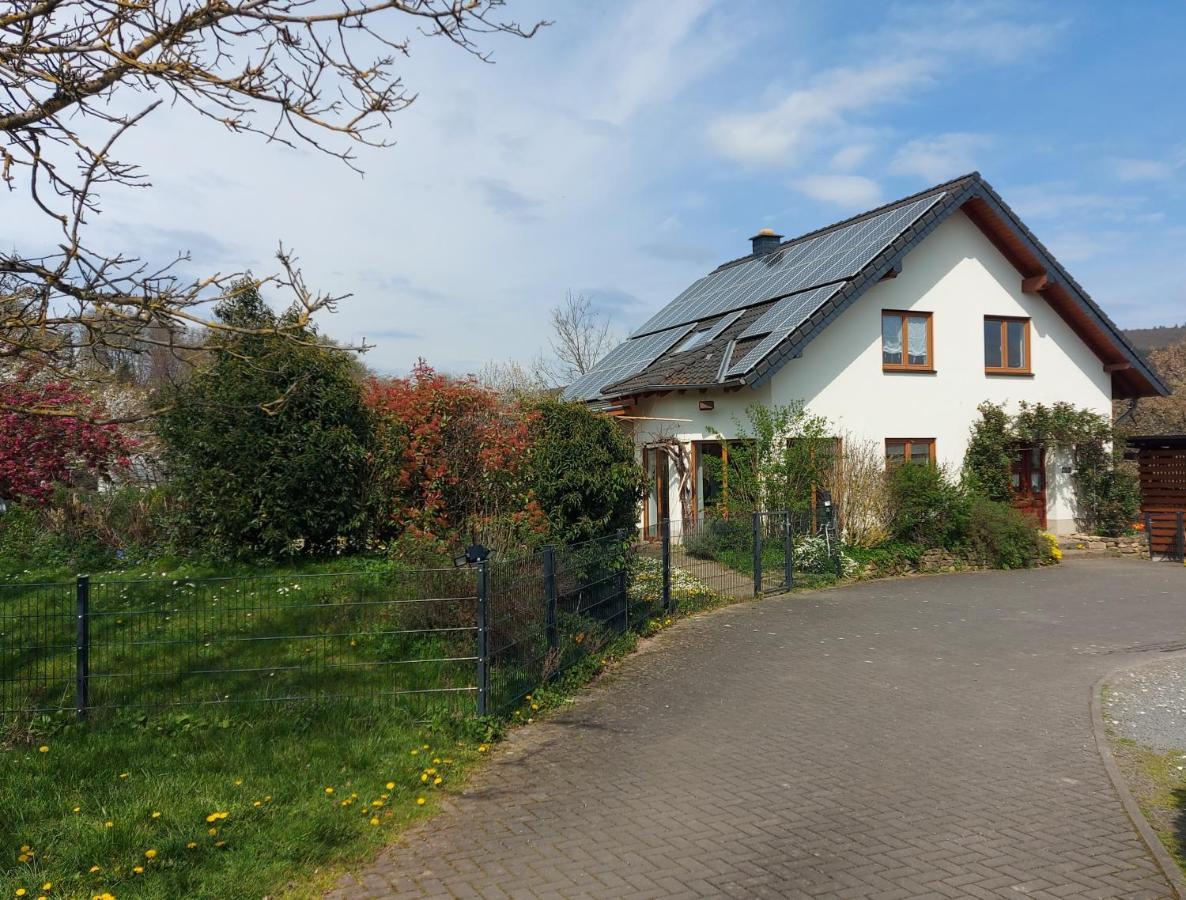 Ferienwohnung Im Moselland 马林诺维德 外观 照片