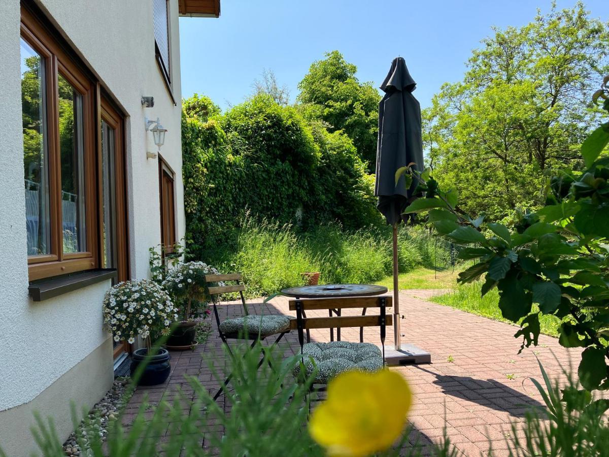 Ferienwohnung Im Moselland 马林诺维德 外观 照片