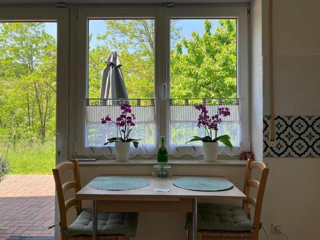 Ferienwohnung Im Moselland 马林诺维德 外观 照片